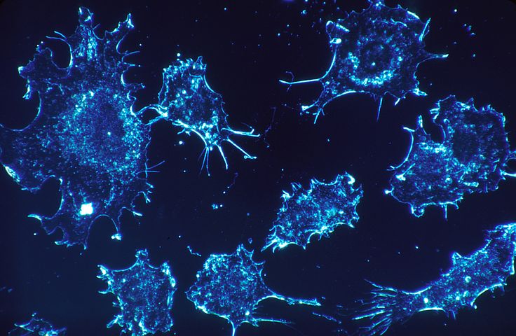 Cancer-cells Testing