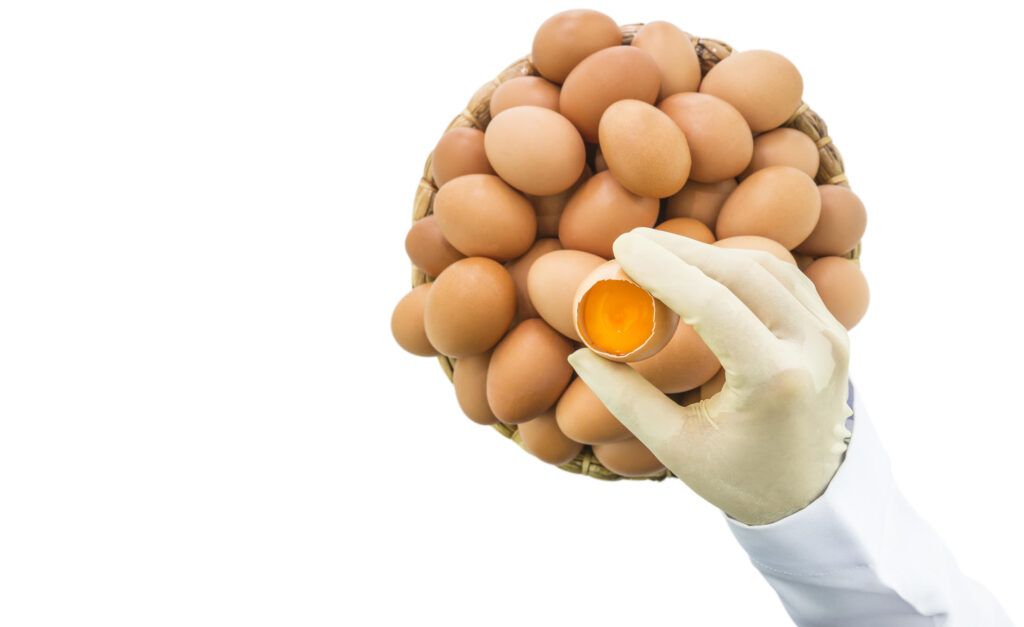 Egg yolk testing