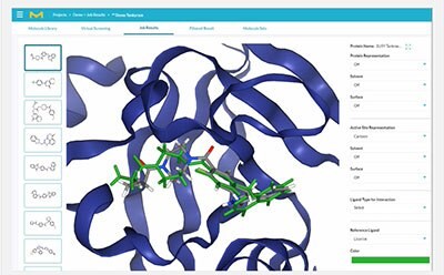 Computer screen capture of protein structure