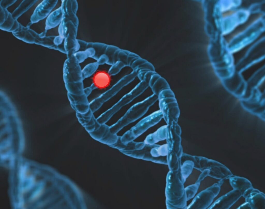 Image of DNA with red spot indication a point mutation